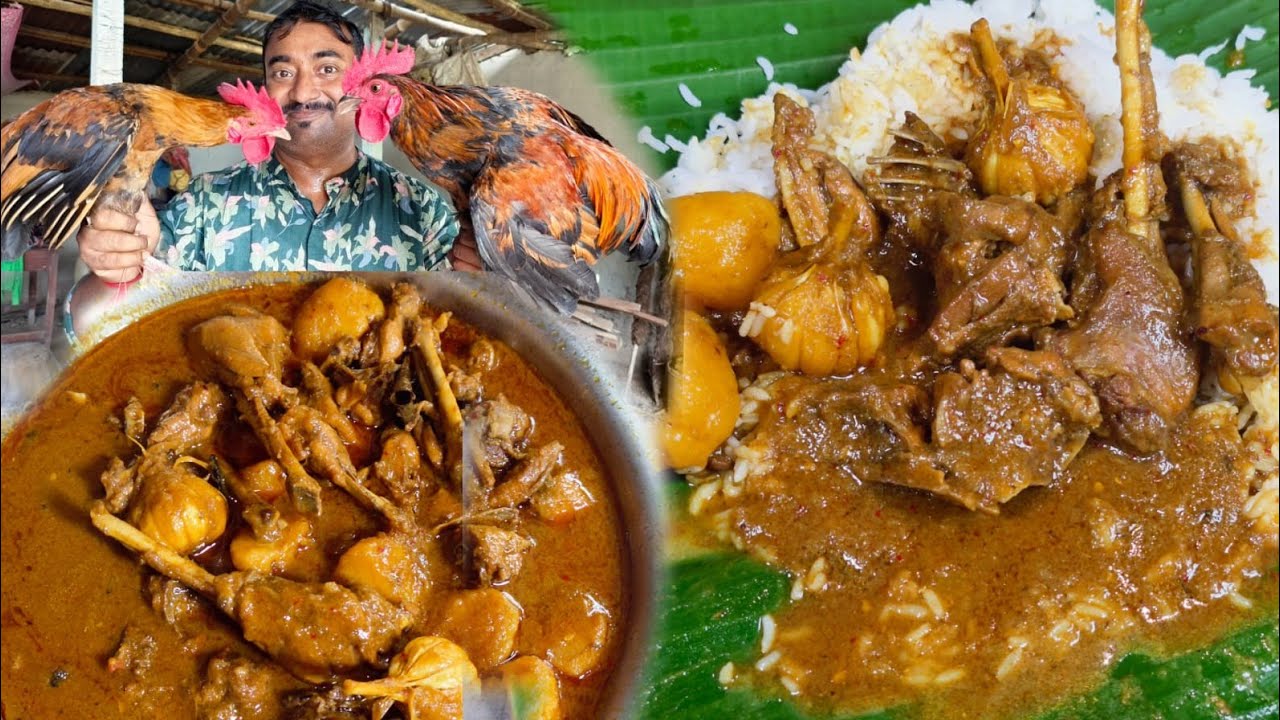গ্রামের বাড়িতে দেশি মুরগি ধরে কষিয়ে রান্না করে জমিয়ে পিকনিক করলাম।