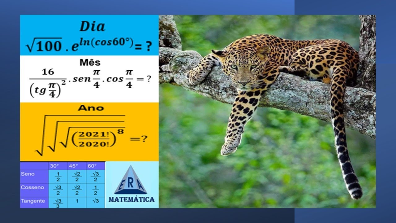 DD/MM/AAAA com conteúdos da matemática e operações