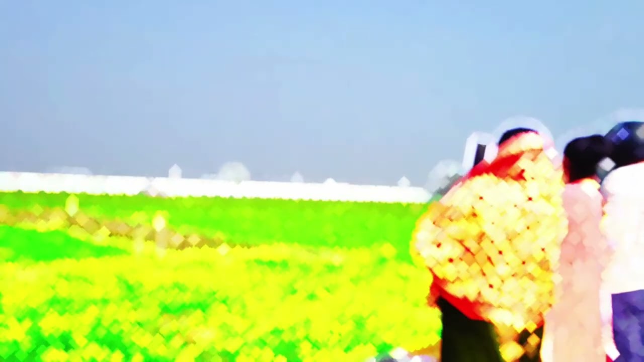 Purnia Airport Bihar ✈️