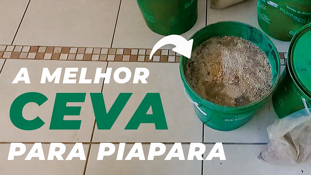 CEVA PARA PIAPARA 2022