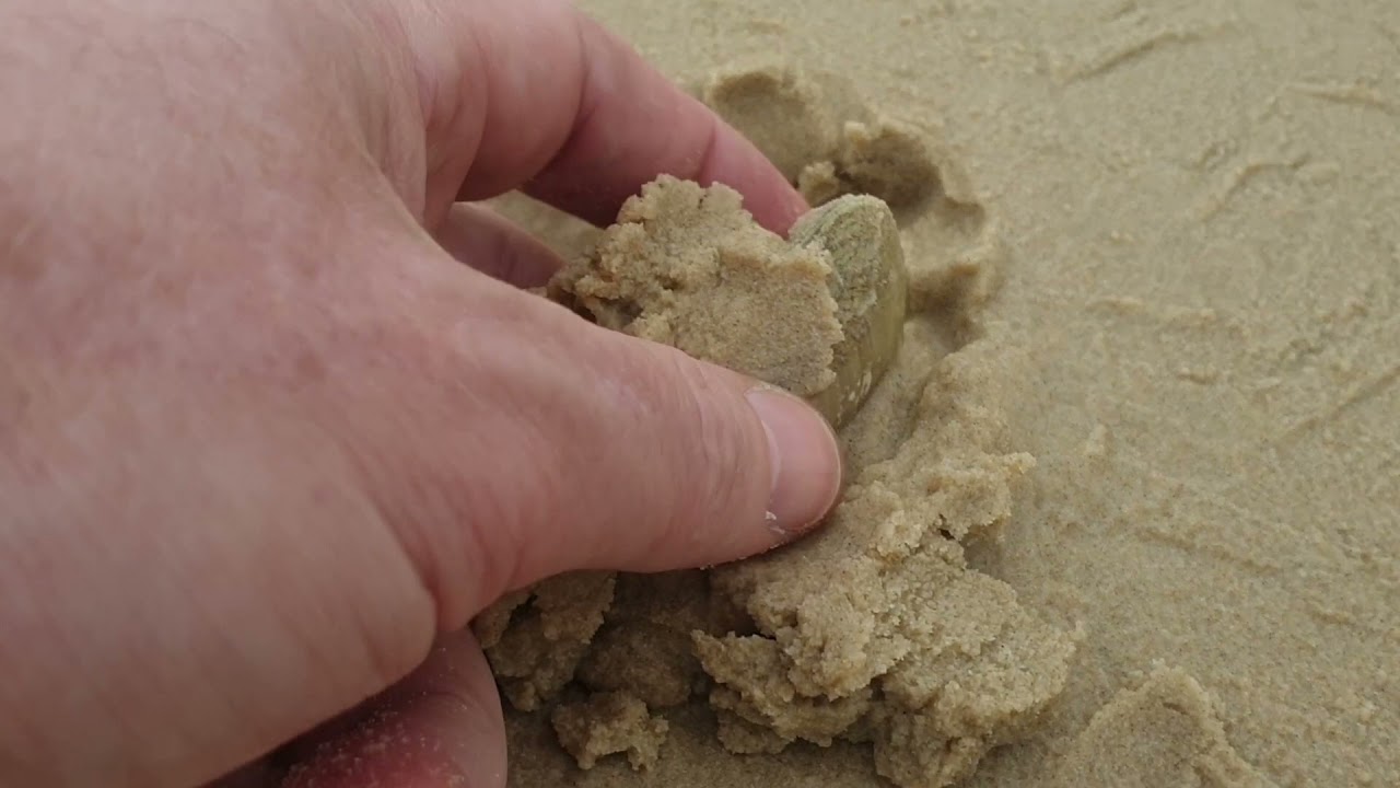 Kids Love Collecting Pipis For Fishing On Fraser Island - Catching Pipis for Bait | All About Fraser