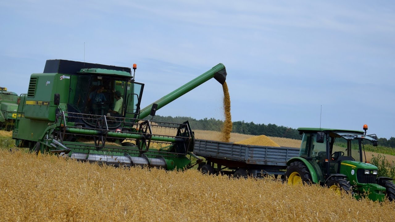 Żniwa 2017 | John Deere 1177 | na Podlasiu