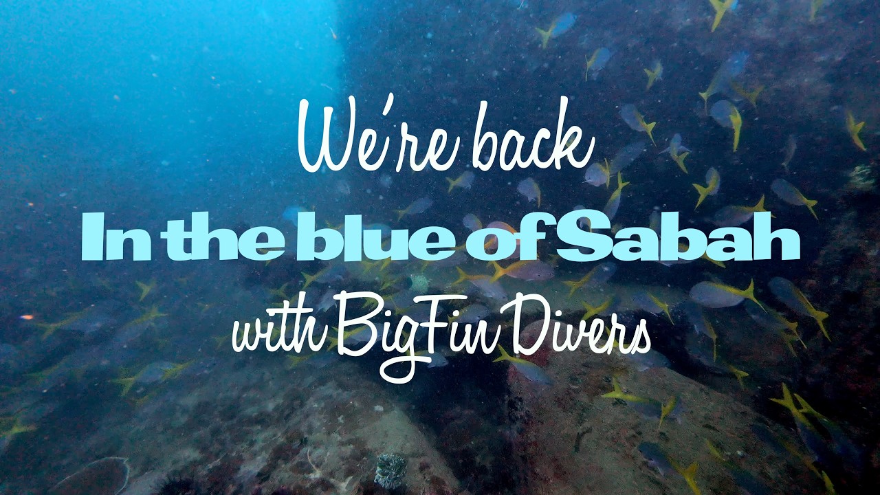 Back in the Blue of Sabah