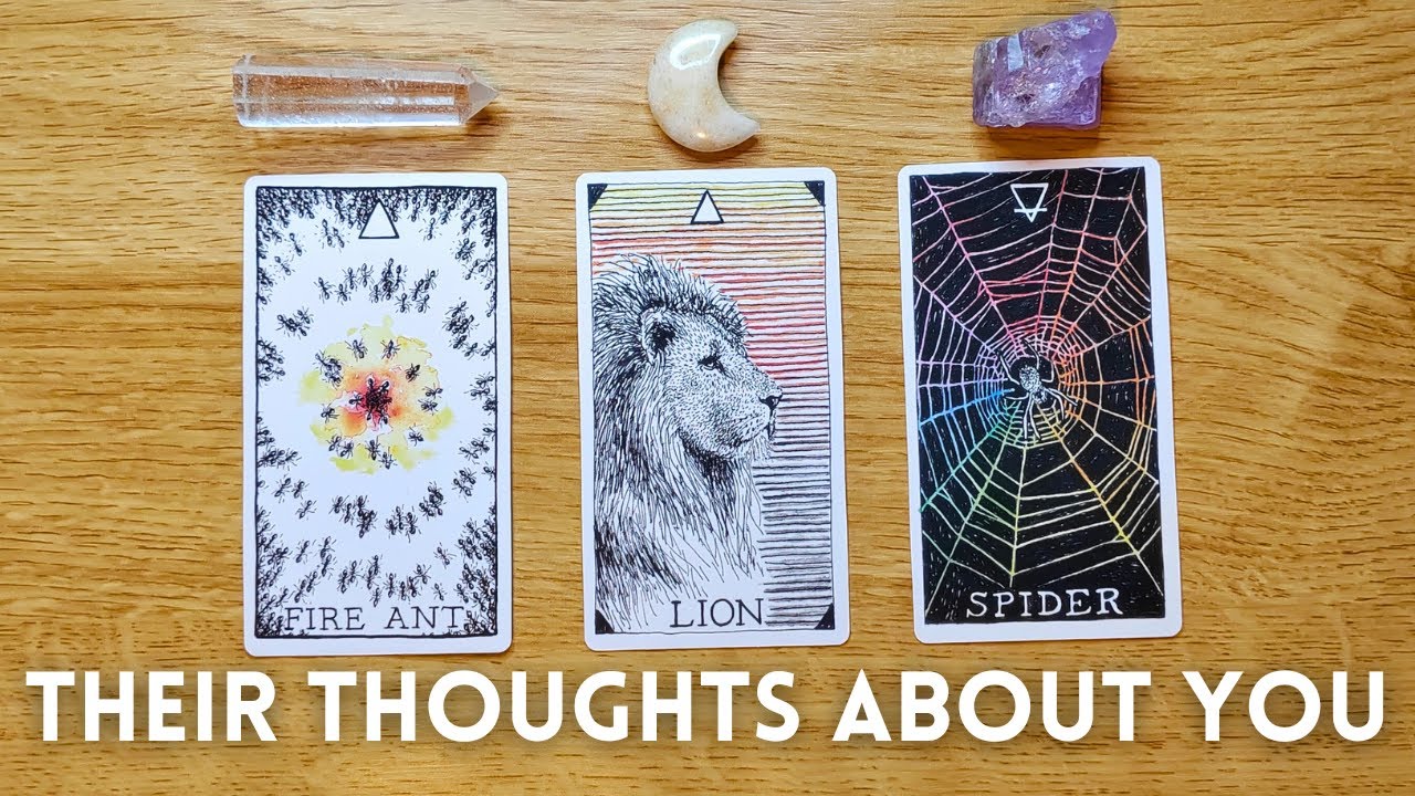 💞 What Are They THINKING About YOU? 👀🤔💭 Pick a Card 🔮✨ Timeless Love Tarot Reading
