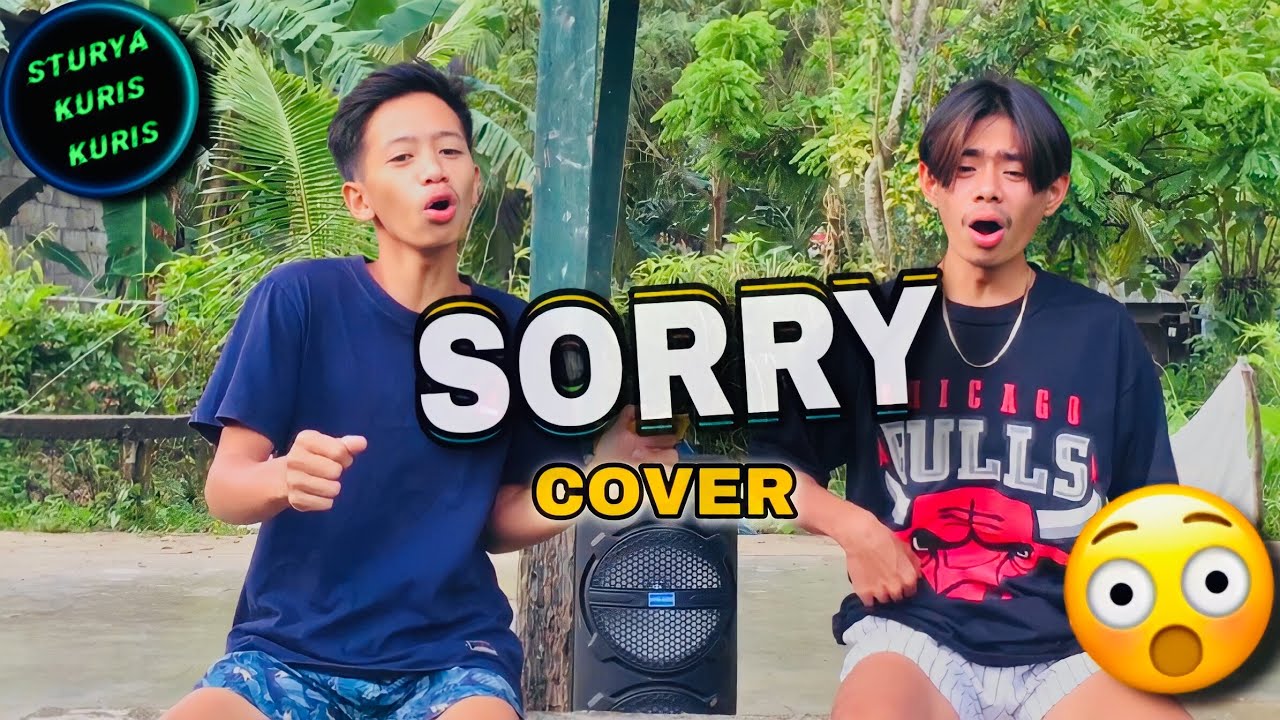 Sorry ( Cover )