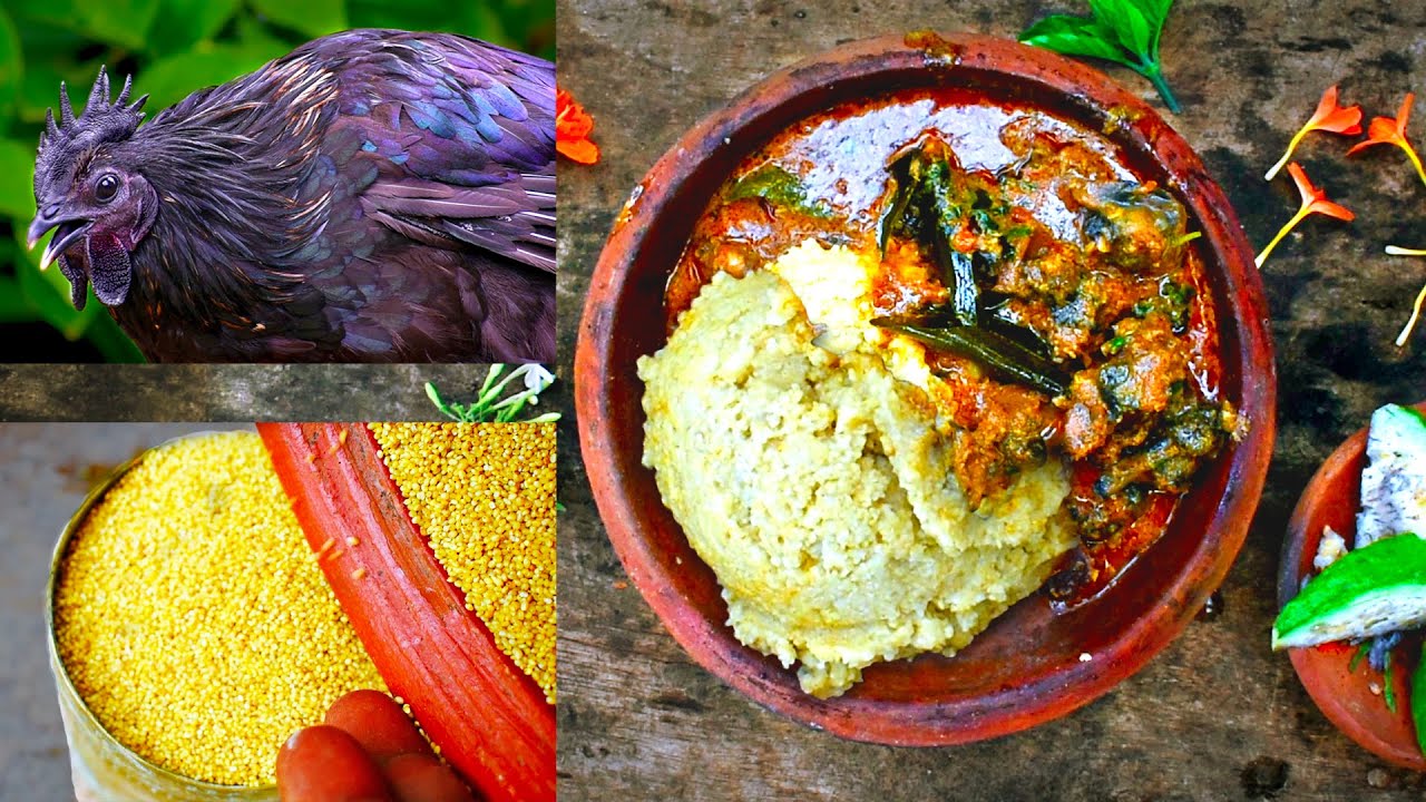Foxtail Millet Rice with Kadaknath chicken Gravy | Thinai Sadam Kadaknath koli Kulambu