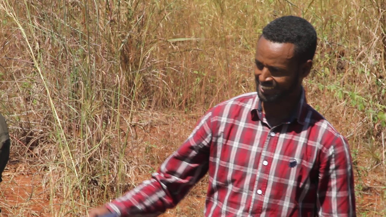 message of metekel zone agricultural sector lead