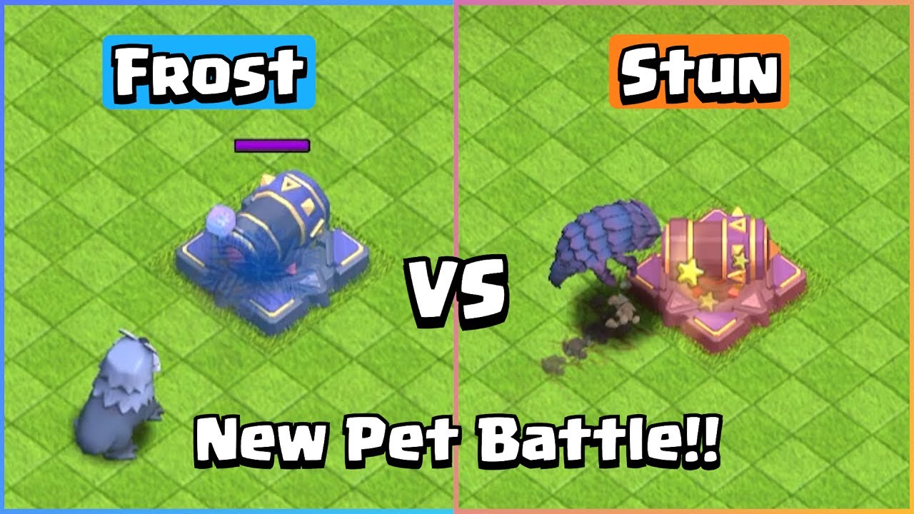 Diggy VS Frosty | New Max Level Pet Battle | Clash of Clans