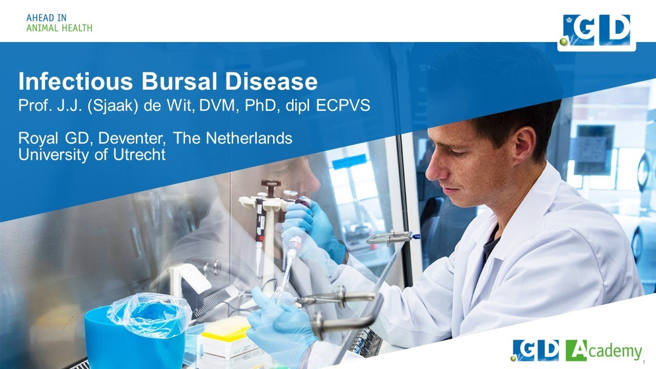 Ceva Poultry Innovation Summit 2022, India - Prof. Sjaak de Wit Infectious Bursal Disease in Poultry
