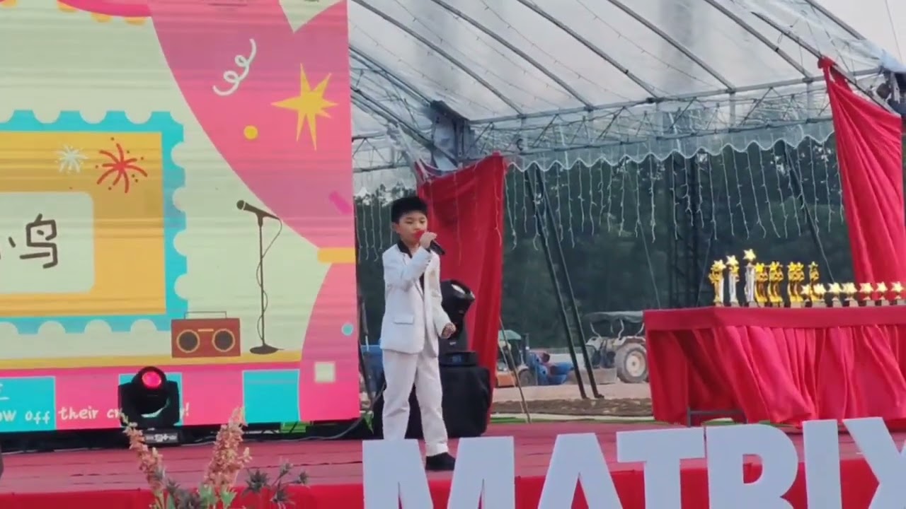 玮轩 - 我是一只小小鸟