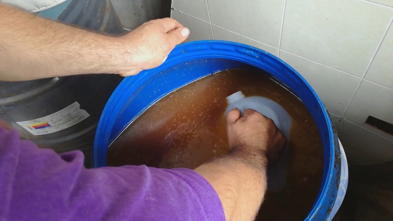 Adherente a base de sábila