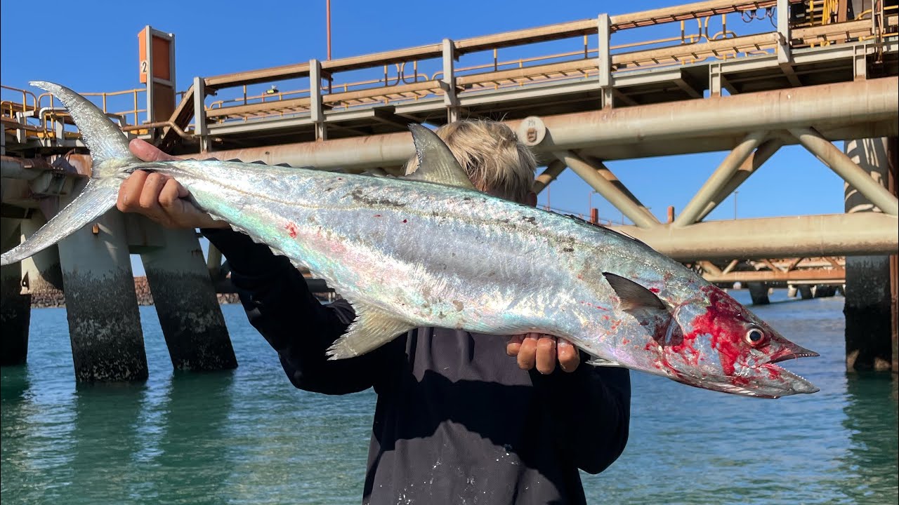 Jigging Dampier WA shipping terminals for pelagics 
