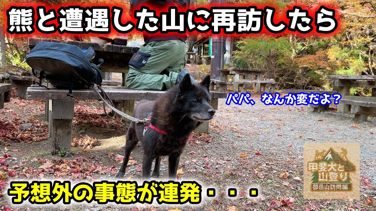 熊に遭遇した山に甲斐犬と再訪したら予想外の出来事が多発・・・【御岳山訪問編　第１話】
