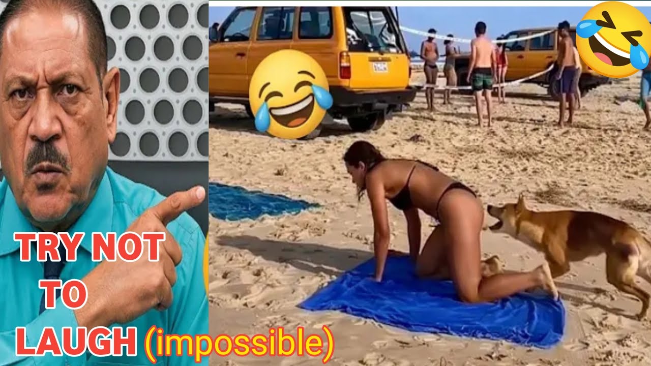 Try Not To Laugh Challenge🤣 | Crazy Funniest Video Ever In The World Ep. 88