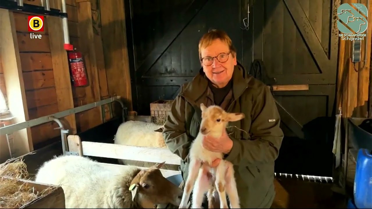 De Schaapskooi Schijndel interview