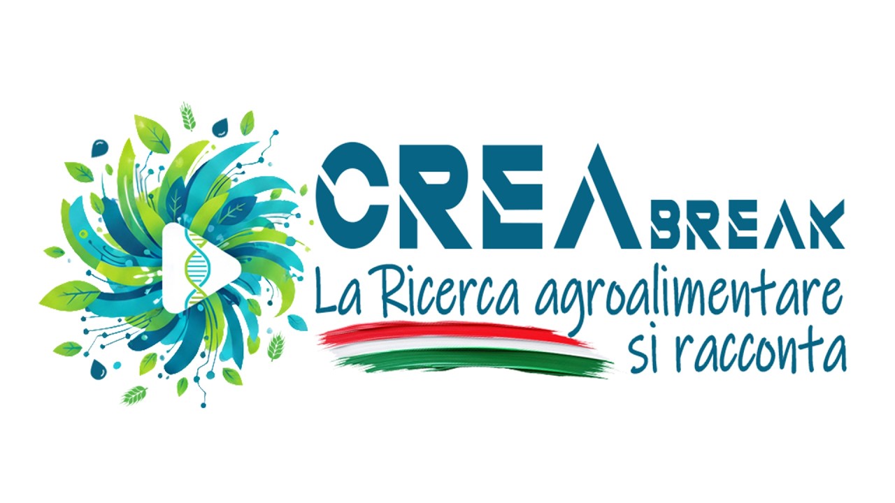 Перерыв CREA: CREAthon 2026 — Исследования смотрят в будущее