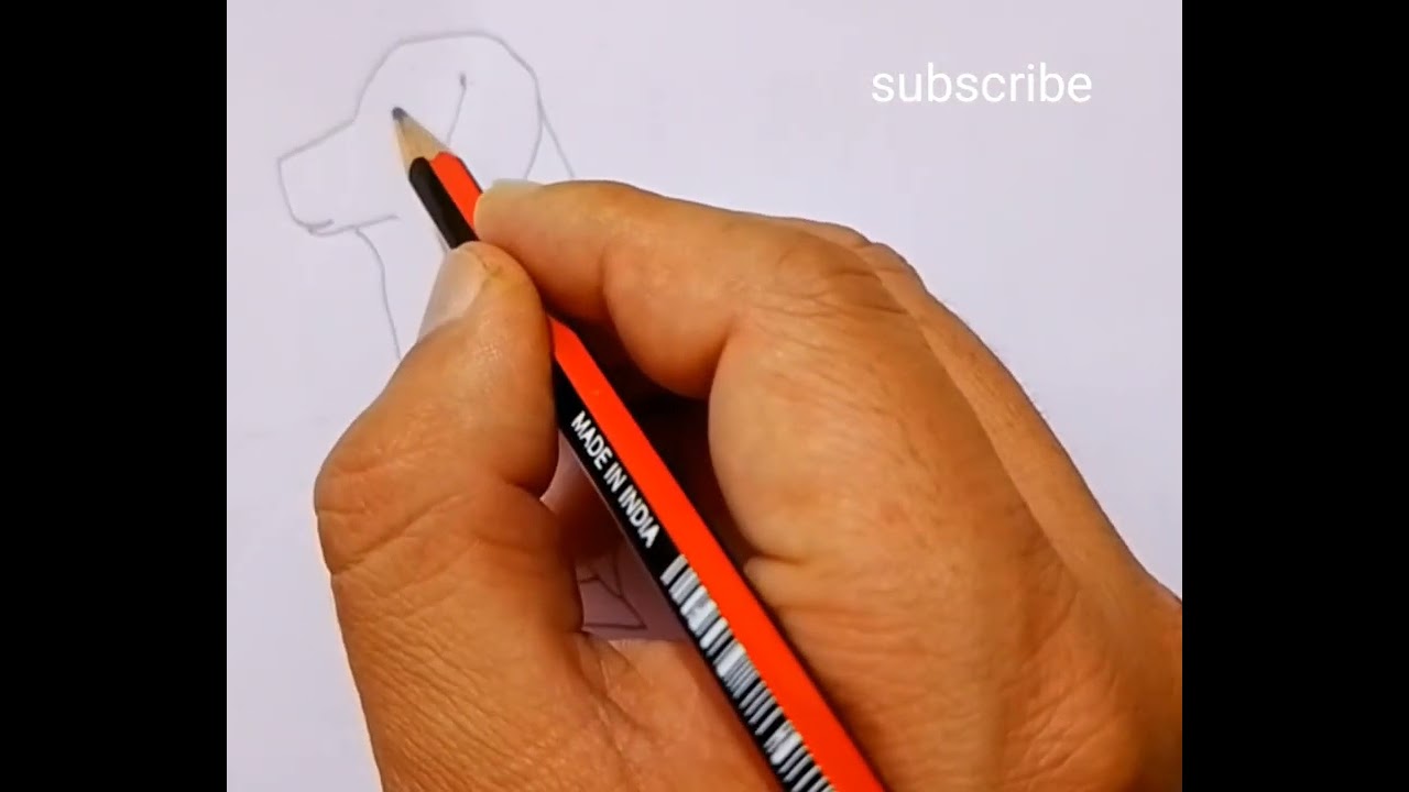 How to make simple dog drawing. Pencil art drawing. Easy drawing.