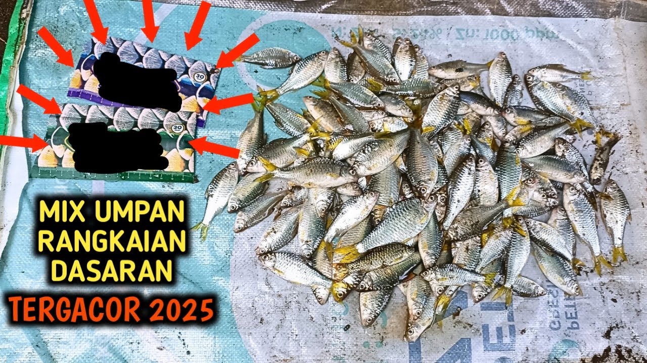 BARU‼️ UMPAN MIX DAN RANGKAIAN DASARAN MANCING WADER KEPEK TERGACOORR 2025‼️