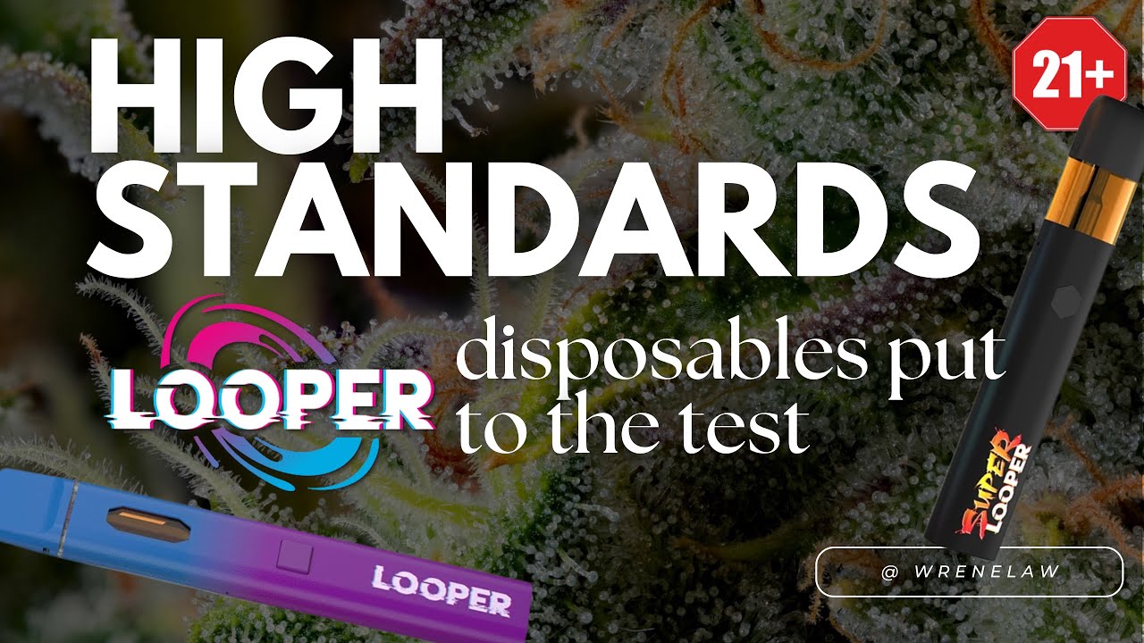 High Standards:​⁠ @Looperverse.official disposables put to the test