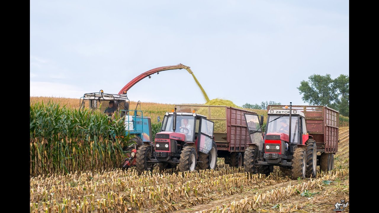 🌽Kukurydza na Kiszonkę 2018 w 4K🌽||ZTS,2xUrsus,Zetor,JohnDeer,MAMMUT 7800|| ZTS skacze na pryźmie !