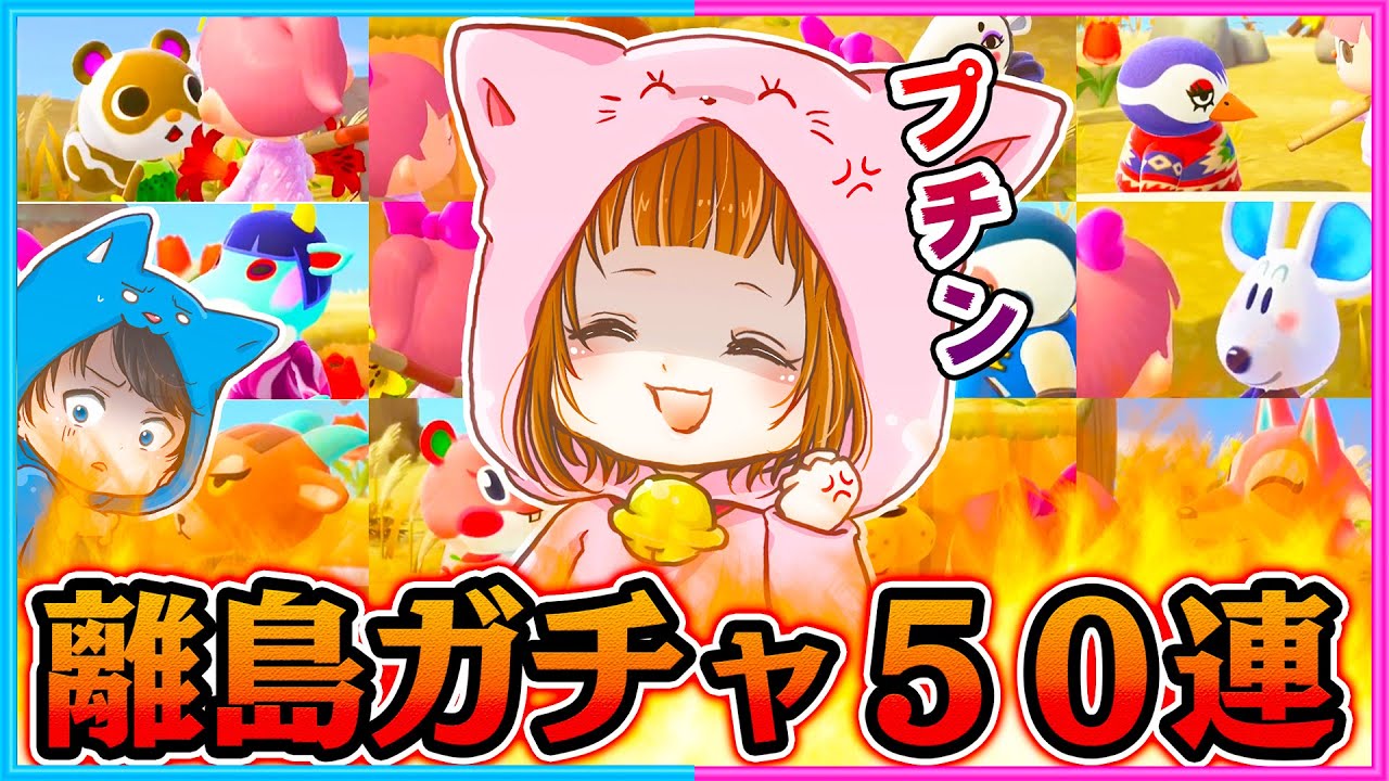 【厳選#17】我慢の限界！？ちゃちゃまる早く出てこい！怒りのちゃちゃまる厳選❗️50連❗️【離島ガチャ/住民厳選】【あつ森/AnimalCrossing】