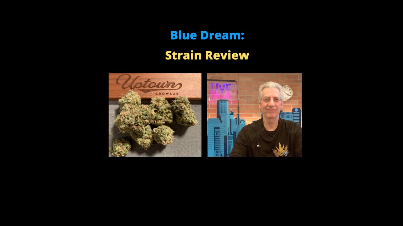 Blue Dream: Classic Strain Review
