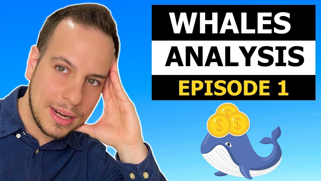 Crypto Whale Tracking Episode 1: Alameda Hedge Fund Strategy