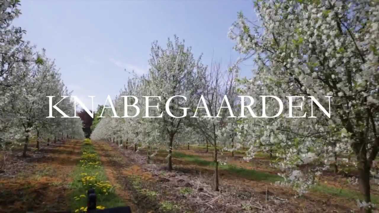 Knabegaarden