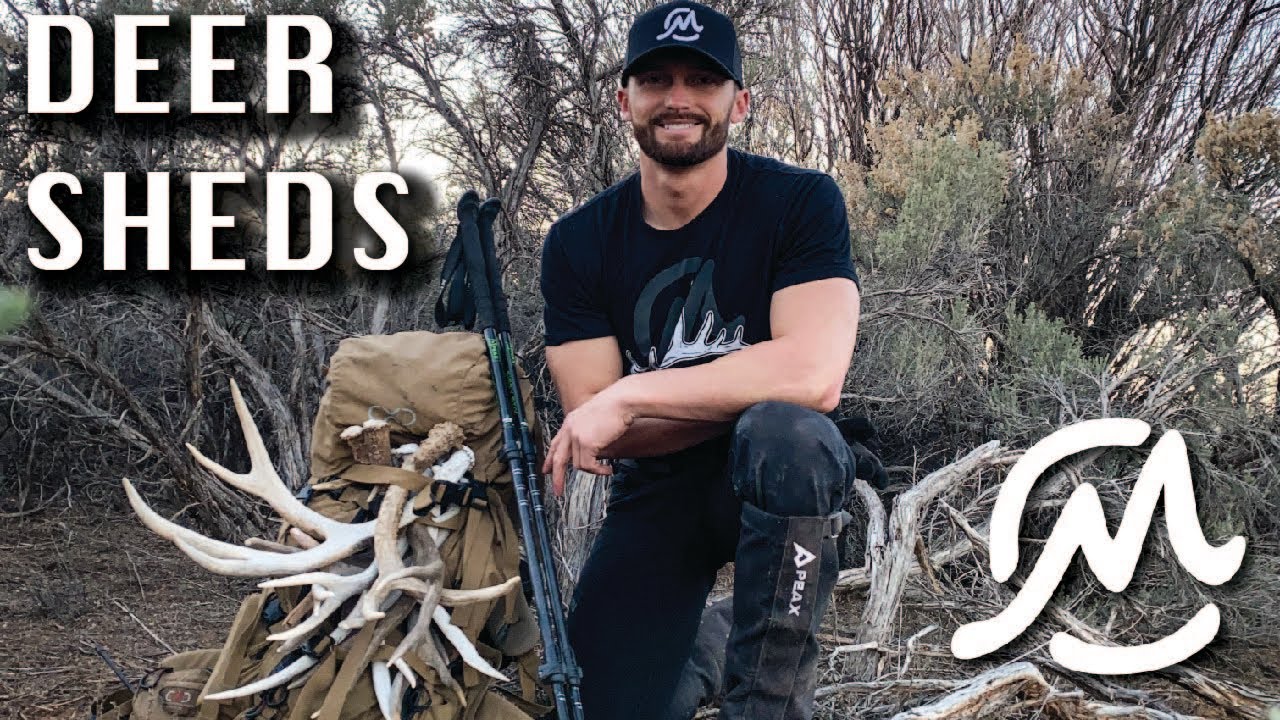 STACKING DEER SHEDS IN THE SAND w @shedcrazyofficial