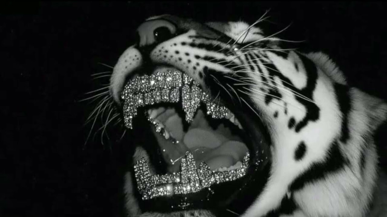 ian x Glo Type Beat – “Money Talks” | 2026