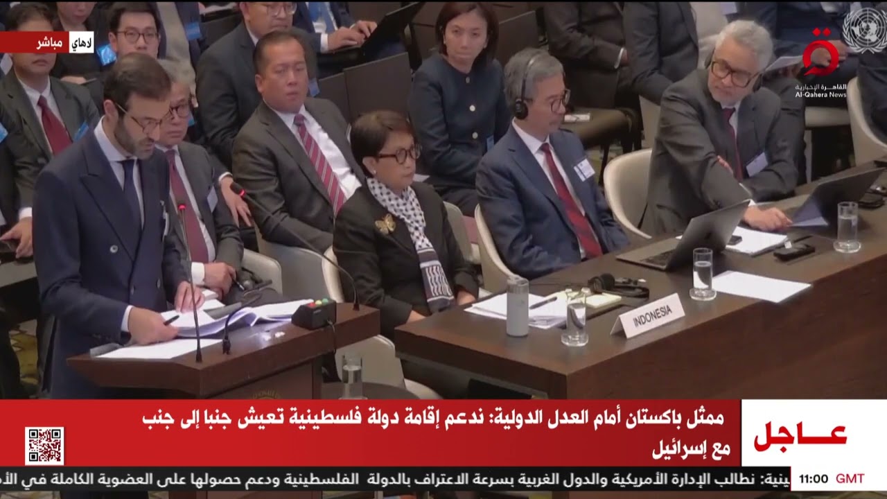 ممثل باكستان أمام العدل الدولية: ندعم إقامة دولة فلسطينية تعيش جنبا إلى جنب مع إسرائيل