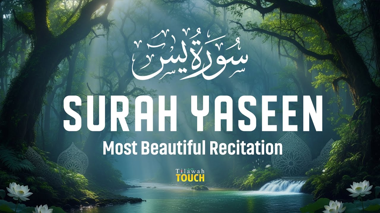 Surah Yaseen سورة يس | Emotional & Heart-Touching Quran Recitation | Tilawah Touch #surahyasin
