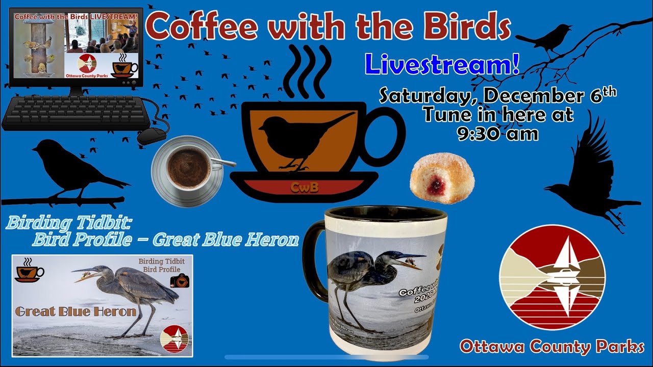 12-6-25 Coffee with the Birds LIVESTREAM