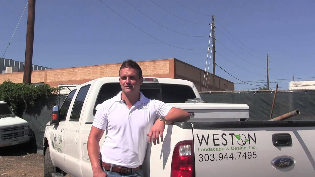 Miracle Grow: Weston Landscaping Finds Its Sweet Spot