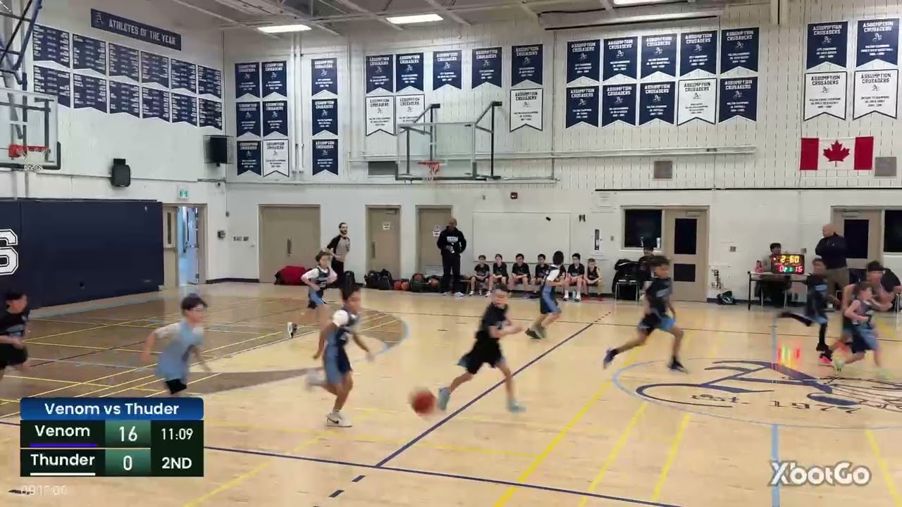 Oakville Venom vs Thornhill Thunder Feb 8, 2026