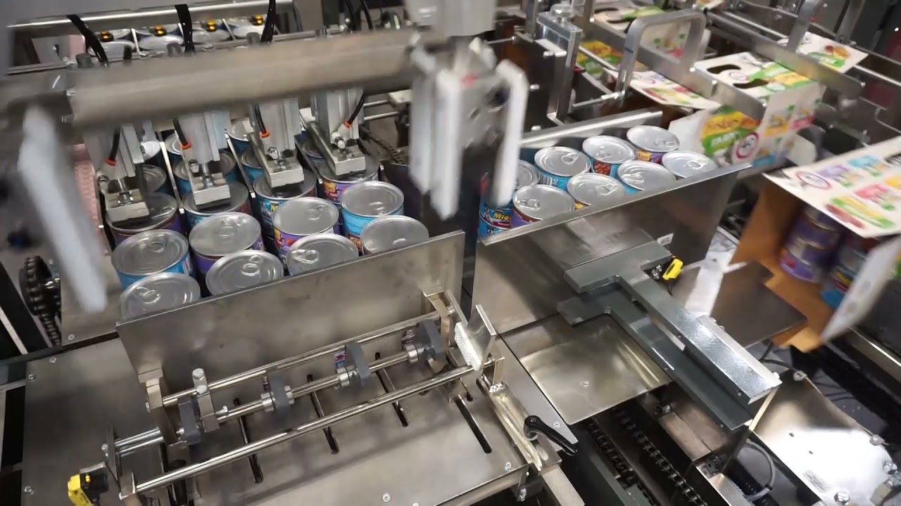 Tisma LSC 40 Cartoner, Pre Stacked Cans of Pet Food - BW Integrated Systems