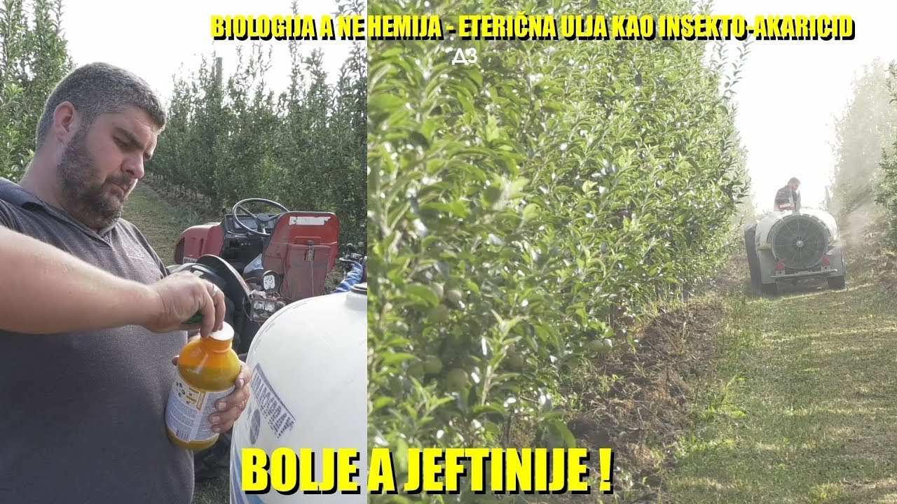 ŠOK -PRSKANJE  VOĆA I POVRĆA BIOLOGIJOM JAČE nego HEMIJOM - ČISTI insekte minere tripse ! TOTALNO !