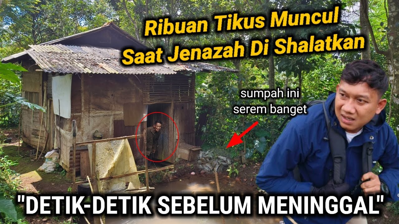 PANIK GAK PERCAYA!! KETEMU ORANG INI NEKAT TINGGAL DAN TIDUR DI GUBUK REYOT TENGAH HUTAN