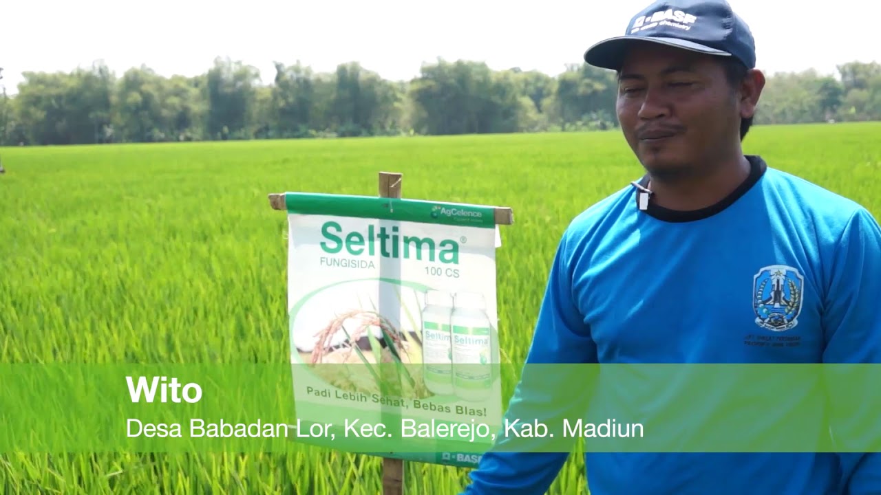 Sekilas Produk BASF - Seltima