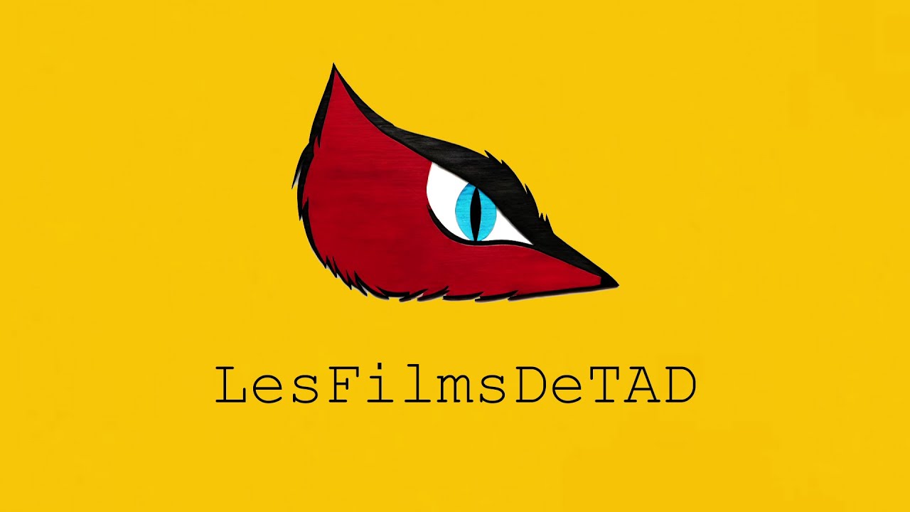 Bienvenue sur LesFilmsDeTAD ! (vid&eacute;o trailer de la cha&icirc;ne)