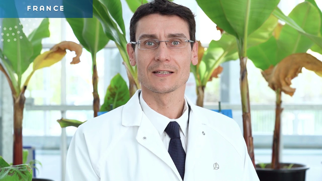 Timac Agro - Passion für die Landwirtschaft - Heute und in Zukunft