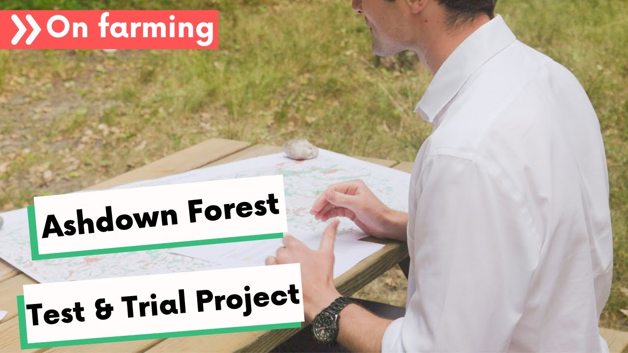 Tests and Trials: Trialling Landscape Recovery agreements in Ashdown Forest