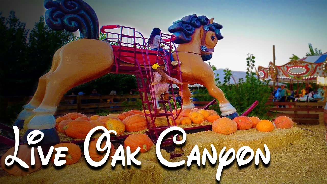 Live Oak Canyon Pumpkin Patch @Oak glen  POV walk-thru 2021