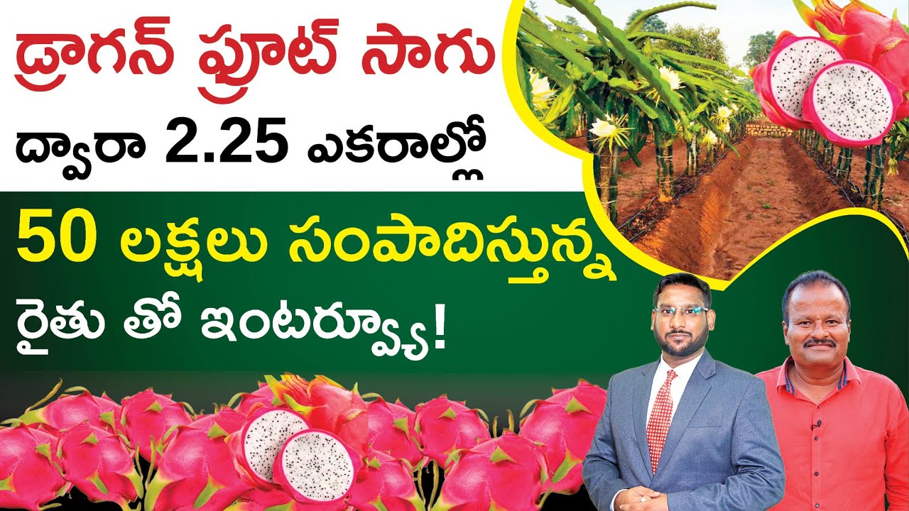 Dragon Fruit Farming in Telugu - Benefits of Starting Dragon Fruit Farming? | Kowshik Maridi