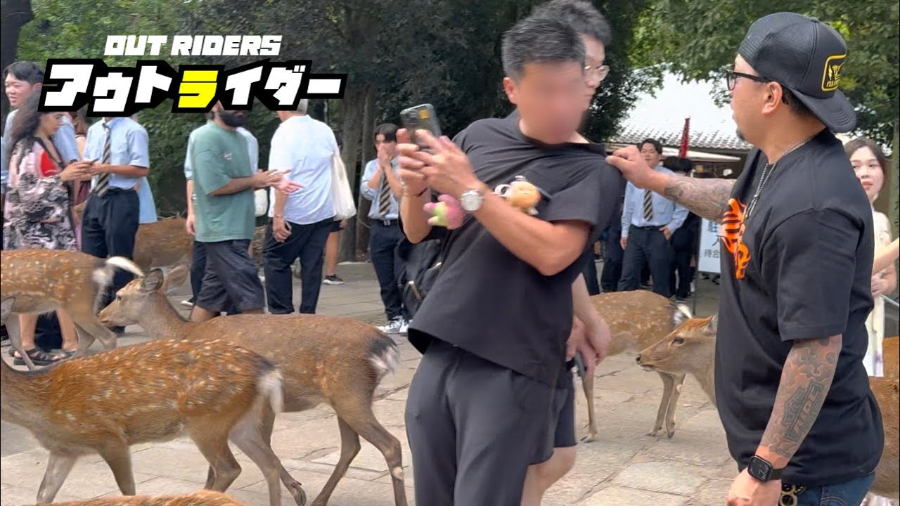 奈良公園の鹿問題は高市早苗首相の言う通りだった【アウトライダー】