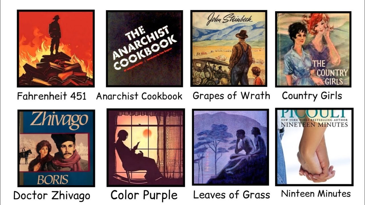 Every BANNED Book Explained in 20 Minutes