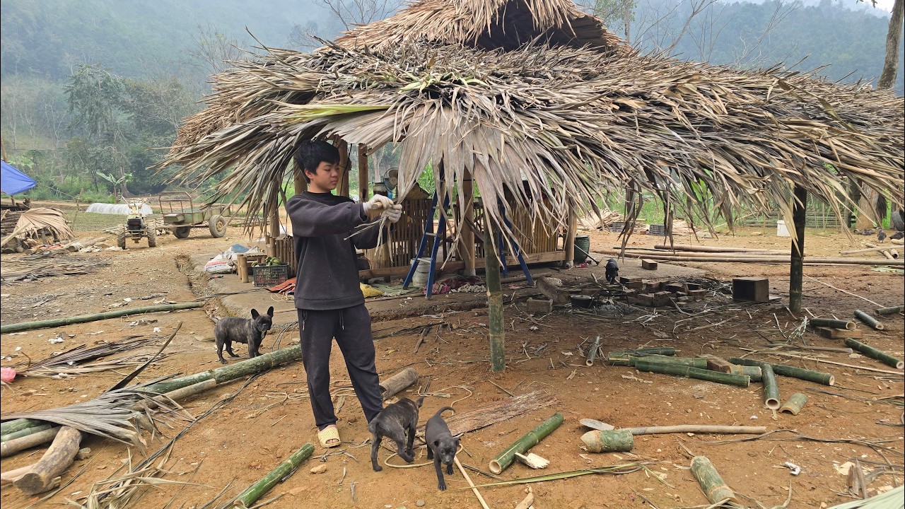 Thanh went to get bamboo, measured it, and rebuilt the small kitchen to make it more sturdy.