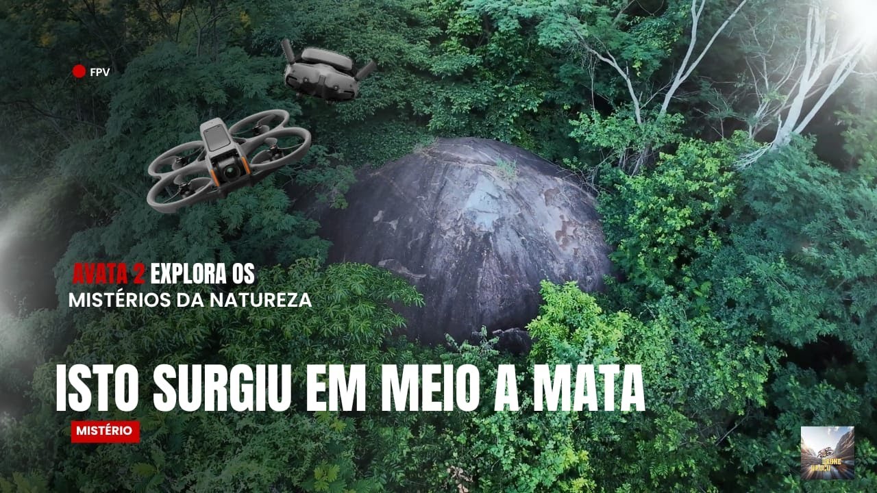 Lugar do AVATA é dentro da mata!  DJI Avata 2 explorando a floresta.
