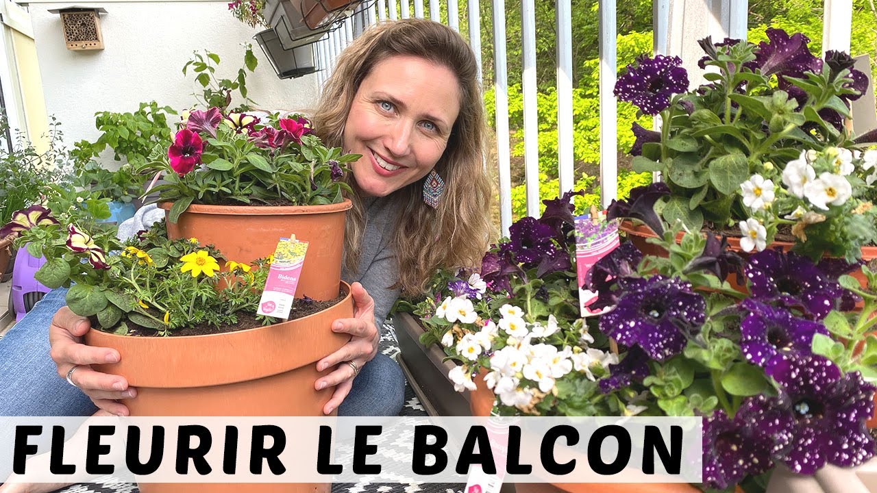 FLEURIR SON BALCON : LE PETUNIA REMIS AU GOÛT DU JOUR AVEC DES PLANTES ECO-RESPONSABLES !