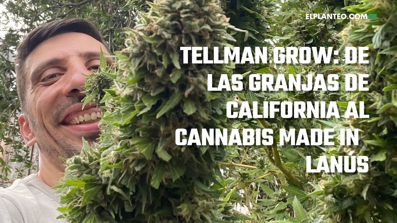 🇦🇷🌱📍 Tellman por LESA: el Or&aacute;culo de Lan&uacute;s, Tellman Grow  y el Cannabis en el Conurbano Bonaerense
